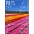12390 Tulips